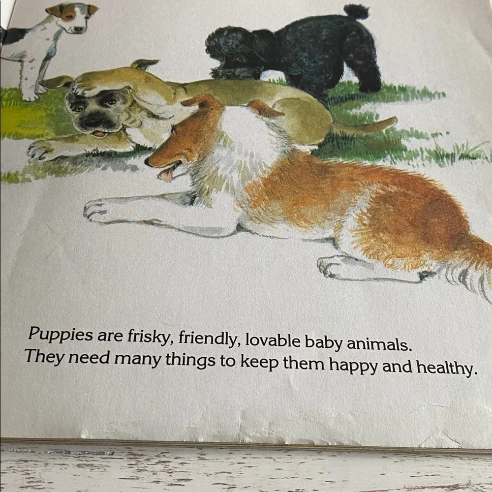 Golden Books Puppies Need Someone to Love Vintage Childrens Book